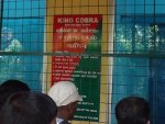 People watching the two large King Cobras kept inside Air-Conditioned rooms